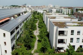 Wohnsiedlung in München mit Park und begrünten Dächern.