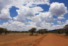 Das südliche Afrika gilt als eine der klimatisch anfälligsten Regionen der Welt.