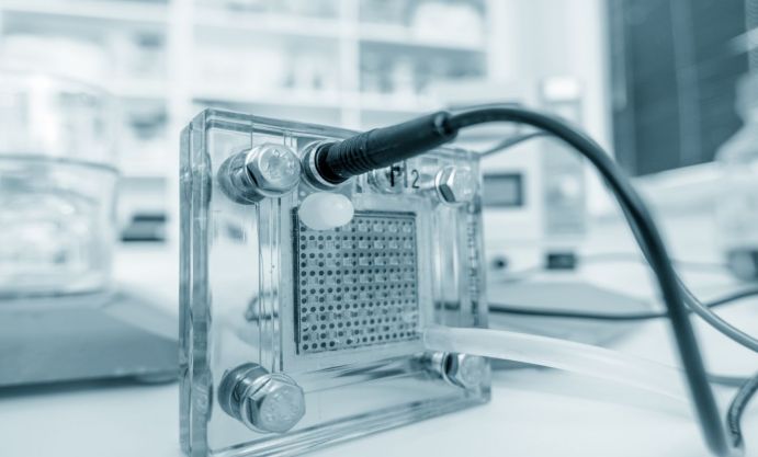 Innovative metallgestützte protonenleitenden Zelle sollen im Produktionsprozess von grünem Wasserstoff eingesetzt werden. Innovative metallgestützte protonenleitenden Zelle sollen im Produktionsprozess von grünem Wasserstoff eingesetzt werden.