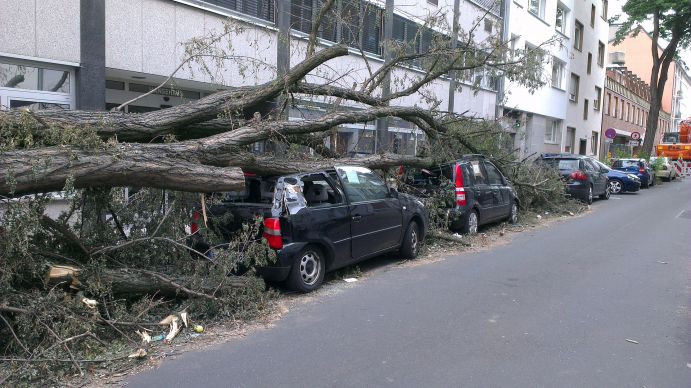 Durch Sturm eingestürzter Baum auf Autos am Straßenrand in einer Stadt.