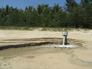 Aus den Aquakulturteichen auf der chinesischen Insel Hainan wird das Wasser wie hier am Strand von Coconut Bay ungefiltert in die Küstengewässer eingeleitet. Abwasser wir ungefiltert in das Meer geleitet
