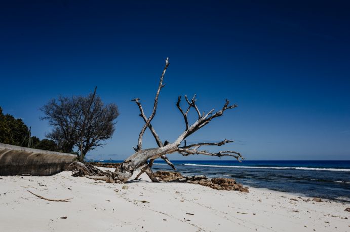 Seychellen als Fallbeispiel für kleine Inselstaaten im globalen Süden 