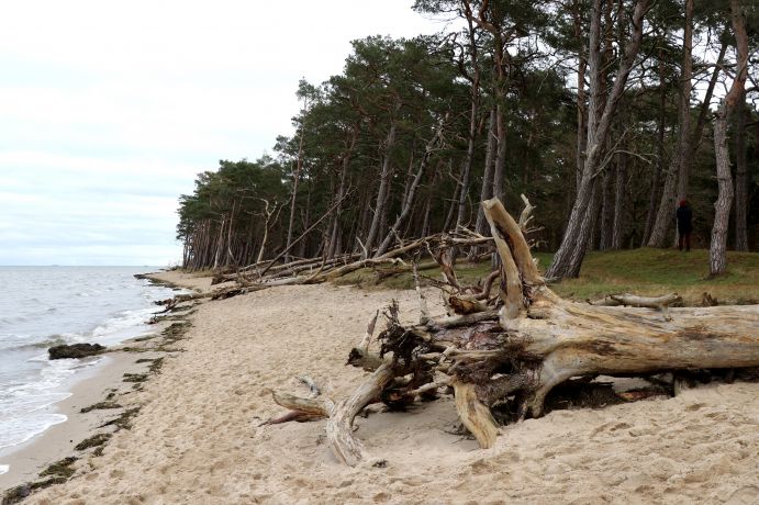 Folgen einer Sturmflut an der Küste