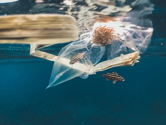 Plastikmüll schwimmt im Meer