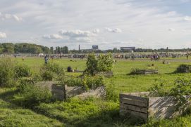 Grünfläche in Berlin – Im Projekt werden die multidimensionalen Leistungen solcher Flächen erfasst und bewertet. 