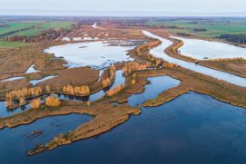 Landschaft umgeben von Wasser