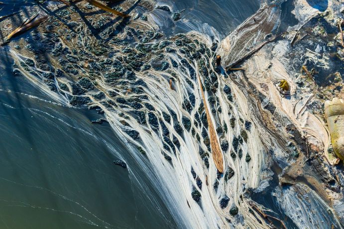Im ERA-Net Cofund „AquaticPollutants" werden 18 Forschungsprojekte und ein begleitendes Transfervorhaben gefördert, um neue Erkenntnisse zu Verunreinigungen im Wasserkreislauf und deren Folgen für unsere Gesundheit zu gewinnen Nahaufnahme eines Müllstrudels auf der Wasseroberfläche