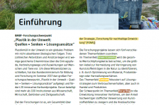 Publikation Einleitung