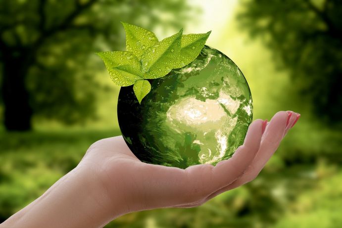 NetDGT unterstützt den Austausch und die Vernetzung von elf Projekten aus der BMBF-Fördermaßnahme Digital GreenTech Symbolbild weibliche Hand trägt grünen Globus vor grünem Hintergrund