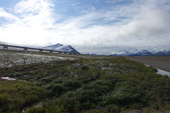 Permafrost-Landschaft in Alaska mit Highway und Öl-Pipeline auf dem gefrorenen Boden. Das Auftauen des Permafrosts verursacht weitreichende Veränderungen, die sowohl das Gleichgewicht des Ökosystems als auch die Stabilität von Infrastrukturen beeinträchtigen. Permafrostlandschaft in Alaska mit Highway und Öl-Pipeline auf dem gefrorenen Boden.