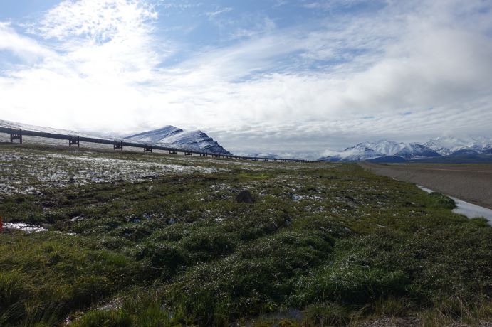 Permafrostlandschaft in Alaska mit Highway und Öl-Pipeline auf dem gefrorenen Boden.