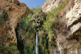 Blick auf einen Wasserfall im israelischen Naturschuzreservat Ein Gedi