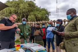 Das BioRescue-Team bereitet sich auf die Anästhesie vor.