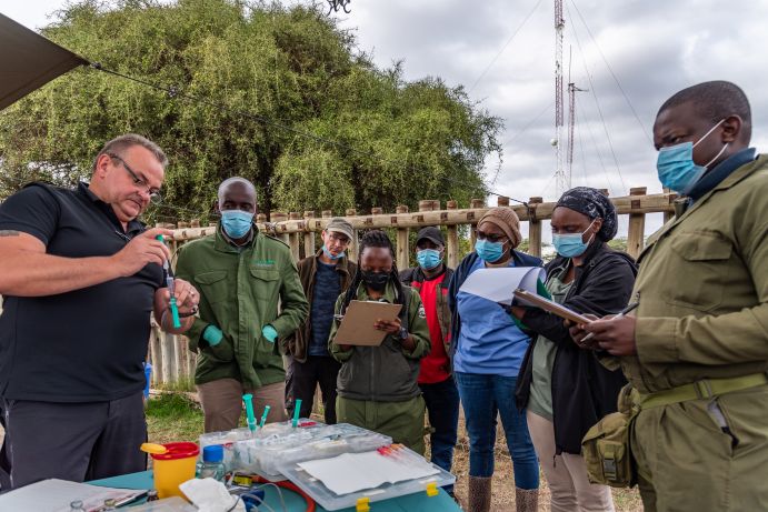 Das BioRescue-Team bereitet sich auf die Anästhesie vor.