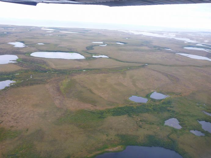 Blick auf sogenannte Thermokarst-Seen, die beim Auftauen des Permafrost entstehen. Diese Aufnahme entstand im Zusammenhang mit dem vom BMBF geförderten Projekt KoPf. Blick auf tauende Permafrostflächen in Sibirien