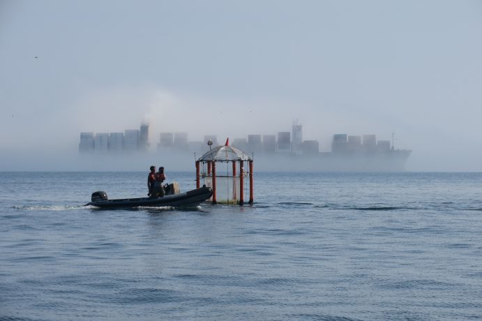 Mesokosmen auf dem offenen Meer