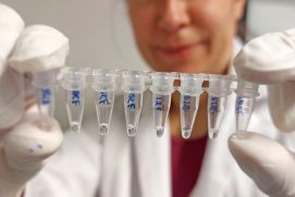 Mit dem Verfahren der Polymerase-Ketten-Reaktion (PCR) werden für die Analyse genetischer Sequenzdaten in wenigen Mikrolitern Flüssigkeit Millionen identischer DNA-Abschnitte bereitgestellt. 