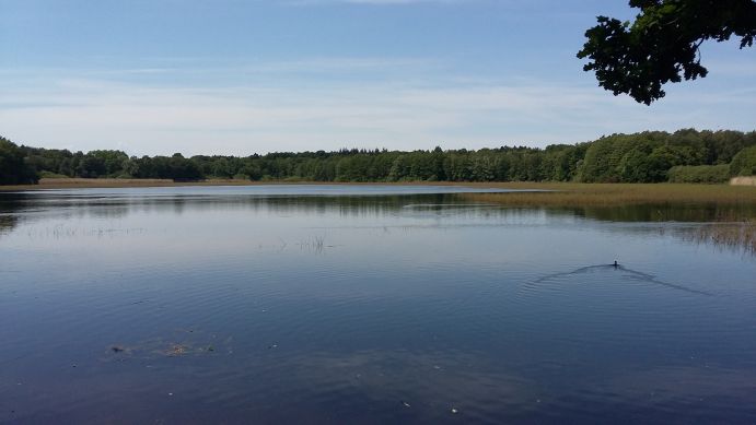 Die Lausitzer Teichlandschaften erweisen sich als die größte zusammenhängende Teichlandschaft in Mitteleuropa.