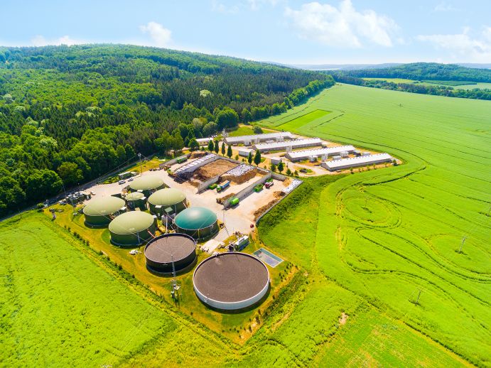 Es gibt zahlreiche Technologien und Konzepte zur CO2-Abscheidung mit Hilfe von Biomasse. Das Verbundprojekt BioNET will Daten über biobasierte Negative-Emissionen-Technologien für Politik, Land- und Forstwirtschaft sowie Wissenschaft zusammenstellen, um den Interessensgruppen das Potenzial biobasierter NETs aufzuzeigen. Es gibt zahlreiche Technologien und Konzepte zur CO2-Abscheidung mit Hilfe von Biomasse. Das Verbundprojekt BioNET will Daten über biobasierte Negative-Emissionen-Technologien für Politik, Land- und Forstwirtschaft sowie Wissenschaft zusammenstellen, um den Interessensgruppen das Potenzial biobasierter NETs aufzuzeigen.