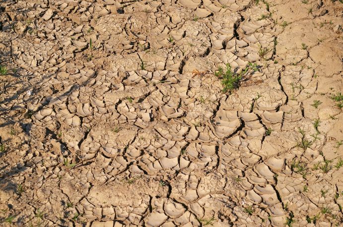 Im Verbundprojekt GlobeDrought wurde ein System zur globalen saisonalen Dürrevorhersage entwickelt und getestet Luftaufnahme eines kargen, ausgetrrockneten Ackerbodens