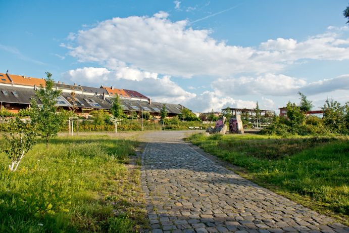 Reforestation in Plagwitz, Leipzig (Germany)