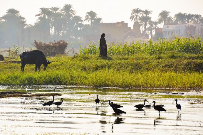 Ansicht des Nils in der Nähe von Luxor in Ägypten