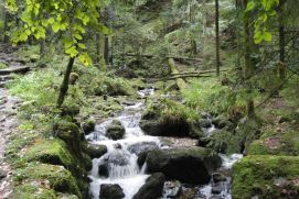 Der Wiedenbach in Bühlertal im Wassereinzugsgebiet des Untersuchungsgebiets der Stadt Bühl