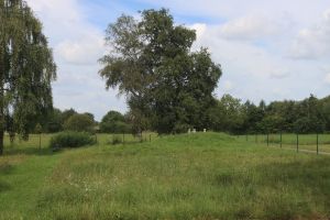 Wasserschutzgebiet Landmatt bei Bühl Wasserschutzgebiet Landmatt bei Bühl