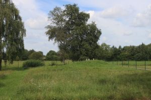 Wasserschutzgebiet Landmatt bei Bühl