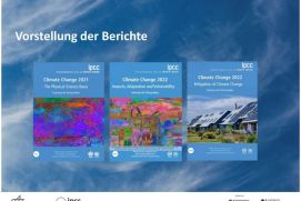 Die Teilnehmenden diskutierten intensiv über die Inhalte der drei Teilbände des Sechsten IPCC-Sachstandsberichts. 