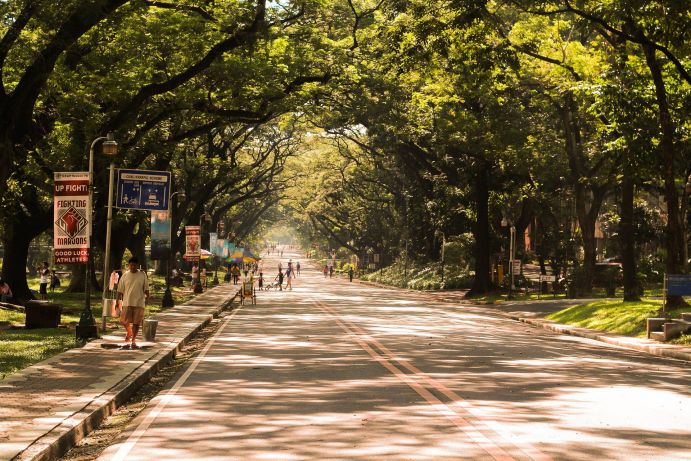 Schattige Allee in Manila, Hauptstadt der Philippinen