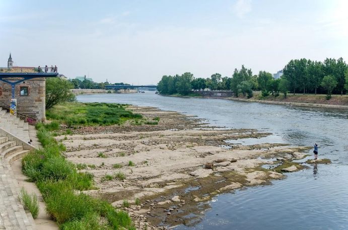 Infolge von anhaltender Dürre führt die Elbe, hier bei Magdeburg, in den Sommermonaten häufig Niedrigwasser. Der Schiffsverkehr muss teils eingeschränkt oder eingestellt werden.