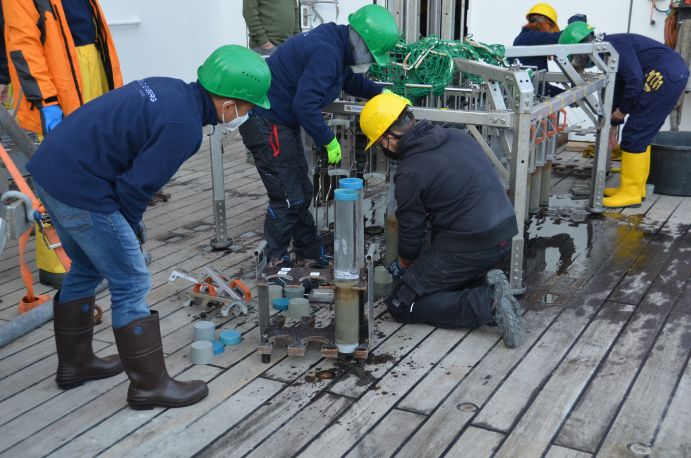 Sedimentkerne werden aus dem Multicorer genommen