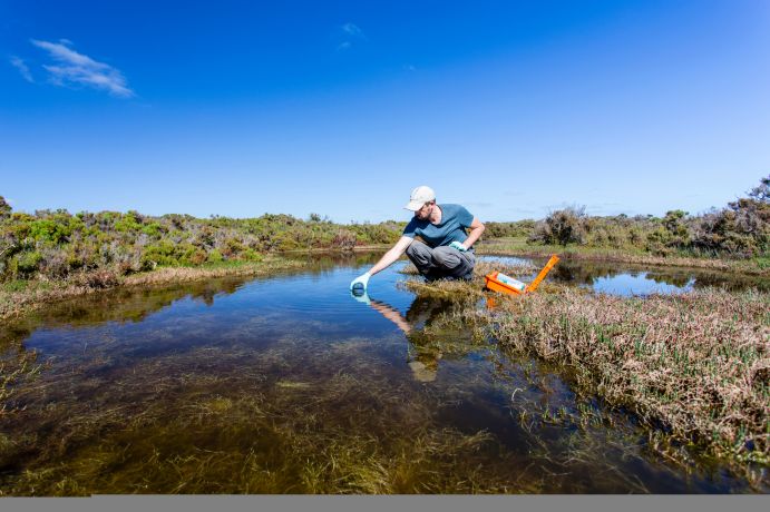 Messung von Wassergüteparametern im Feuchtland