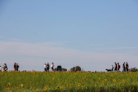 Die "Grünen Finger" sind ein radial angeordnetes Freiflächensystem, welches die Stadt Osnabrück mit der umgebenden Landschaft verbindet und als Naherholungsgebiet  dient.