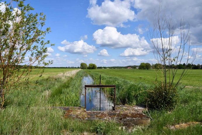 Grabenstauwehr im Landkreis Elbe-Elster zum Wasserrückhalt in der Landschaft Grabenstauwehr im Landkreis Elbe-Elster zum Wasserrückhalt in der Landschaft