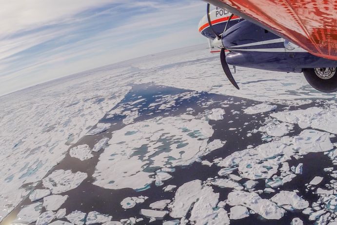 Das Polar 6-Forschungsflugzeug des Alfred-Wegener-Instituts fliegt während der IceBird-Eisdickenvermessung über dem Arktischen Ozean. 