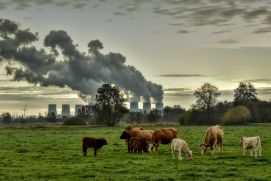 Große Treibhausgasquellen bilden zum Beispiel die Energiewirtschaft, die Industrie sowie der Verkehr, aber auch die Landwirtschaft. Als Treibhausgassenken werden beispielsweise intakte Ökosystemen, wie Moore und Wälder bezeichnet, da sie CO2 binden können.
