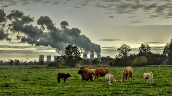 Große Treibhausgasquellen bilden zum Beispiel die Energiewirtschaft, die Industrie sowie der Verkehr, aber auch die Landwirtschaft. Als Treibhausgassenken werden beispielsweise intakte Ökosystemen, wie Moore und Wälder bezeichnet, da sie CO2 binden können.