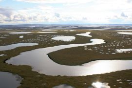 Typisch für Permafrost-Landschaften sind die auf dem Bild sichtbaren Strukturen, die durch Gefrier- und Auftauprozesse entstehen.