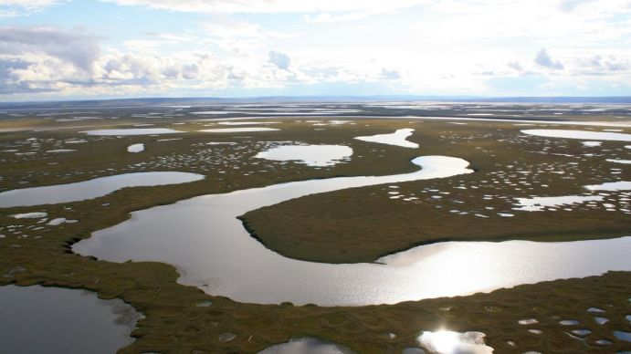 Typisch für Permafrost-Landschaften sind die auf dem Bild sichtbaren Strukturen, die durch Gefrier- und Auftauprozesse entstehen.