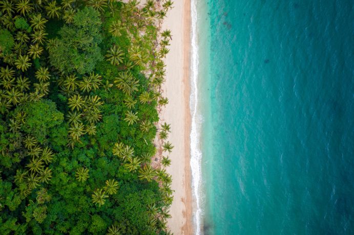 Die beiden Fördermaßnahmen CDRterra und CDRmare untersuchen verschiedene Methoden, wie CO2 aus der Atmosphäre entnommen werden kann. Die beiden Fördermaßnahmen CDRterra und CDRmare untersuchen verschiedene Methoden, wie CO2 aus der Atmosphäre entnommen werden kann.