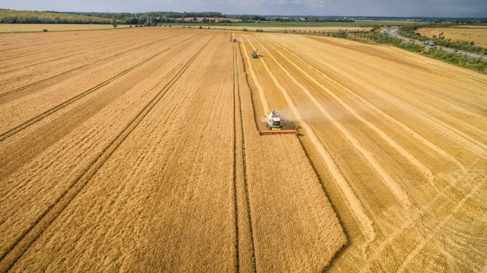Große Schläge, Monokulturen und wenig Raum für Artenvielfalt prägen Teile der deutschen Agrarlandschaft Große Schläge, Monokulturen und wenig Raum für Artenvielfalt prägen Teile der deutschen Agrarlandschaft