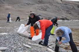 Bürgerwissenschaftler und -wissenschaftlerinnen beim Sammeln von angeschwemmten Plastikmüll an einem Strand von Spitzbergen.