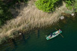 Die Schaffung von Flachwasserzonen in Baggerseen sind besonders effektiv um Fischbestände zu fördern. Nach 16 Monaten ist die neue geschaffene Flachwasserzone in der Donner Kiesgrube 3 dicht mit Pflanzen besiedelt. Der Bereich grenzt sich deutlich vom tiefen, pflanzenarmen Rest des Sees ab.