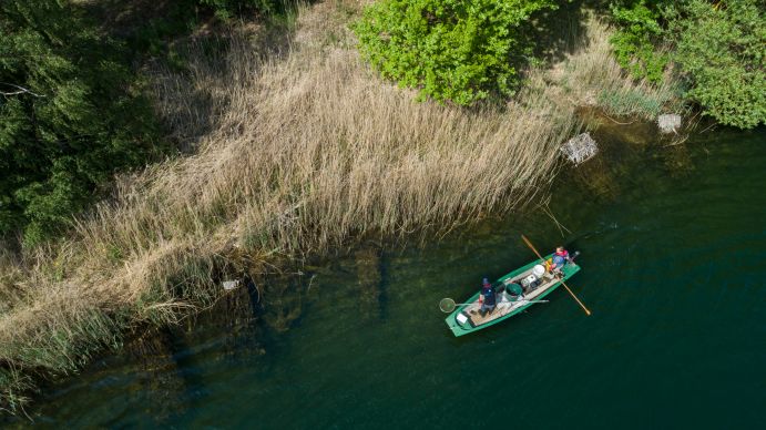 Die Schaffung von Flachwasserzonen in Baggerseen sind besonders effektiv um Fischbestände zu fördern. Nach 16 Monaten ist die neue geschaffene Flachwasserzone in der Donner Kiesgrube 3 dicht mit Pflanzen besiedelt. Der Bereich grenzt sich deutlich vom tiefen, pflanzenarmen Rest des Sees ab.