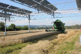 Doppelter Ertrag auf einer Fläche: Agri-Photovoltaik vereint Solarenergie und Landwirtschaft.