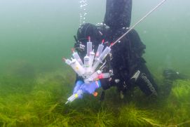 Die Entnahme von Wasserproben im Sommer 2021 erfolgte ostseeweit an 22 Stationen durch Forschungstaucher