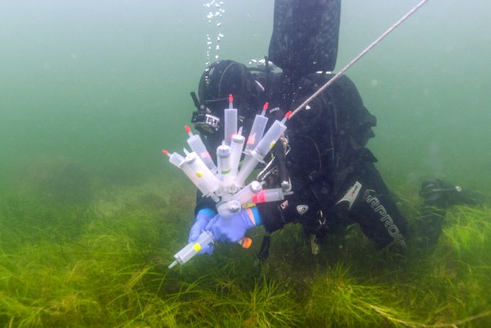Die Entnahme von Wasserproben im Sommer 2021 erfolgte ostseeweit an 22 Stationen durch Forschungstaucher Die Entnahme von Wasserproben im Sommer 2021 erfolgte ostseeweit an 22 Stationen durch Forschungstaucher