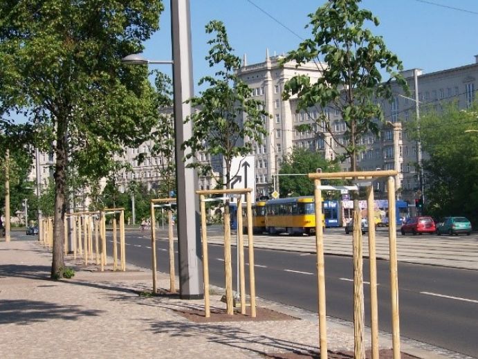 Straße in Leipzig mit neu gepflanzten Stadtbäumen, die als Kohlenstoffspeicher (CO2) dienen und den Hitzestress reduzieren können.